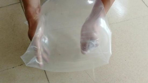 LDPE Transparent PE Poly Food Packaging Bag